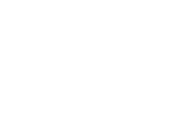 logo mousquetaire