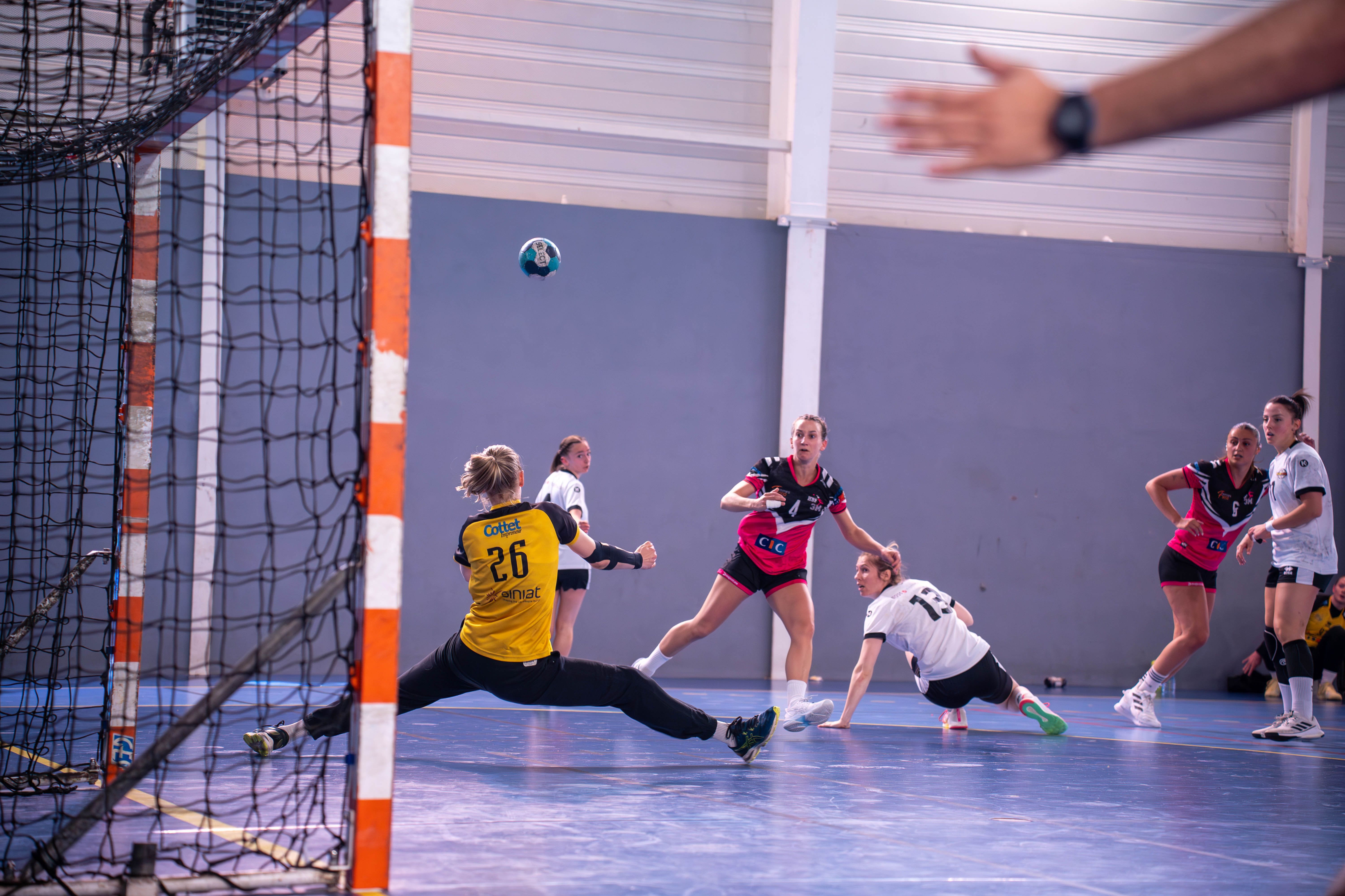 Comment choisir une plateforme de pronostics pour son club sportif ?
